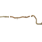 Nissan Patrol (2000-2016) 3.0LT TD Patrol UTE King Brown Exhaust